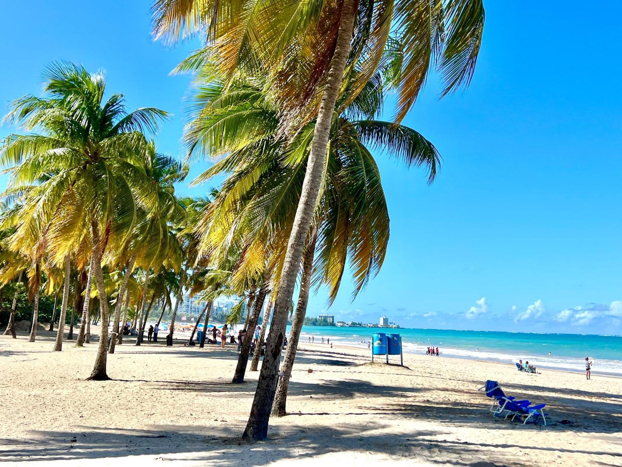Ocean View Apt On Isla Verde In A 14Th Floor サンジョアン エクステリア 写真