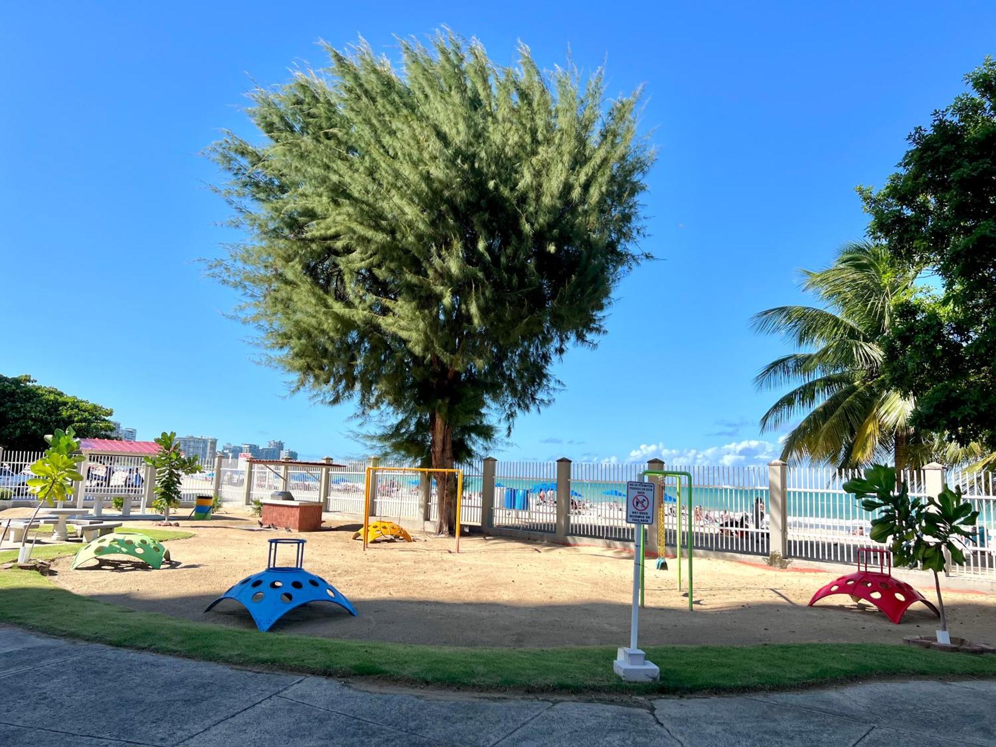 Ocean View Apt On Isla Verde In A 14Th Floor サンジョアン エクステリア 写真