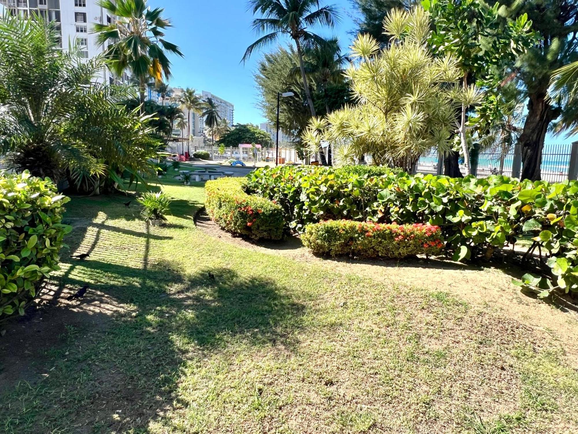 Ocean View Apt On Isla Verde In A 14Th Floor サンジョアン エクステリア 写真