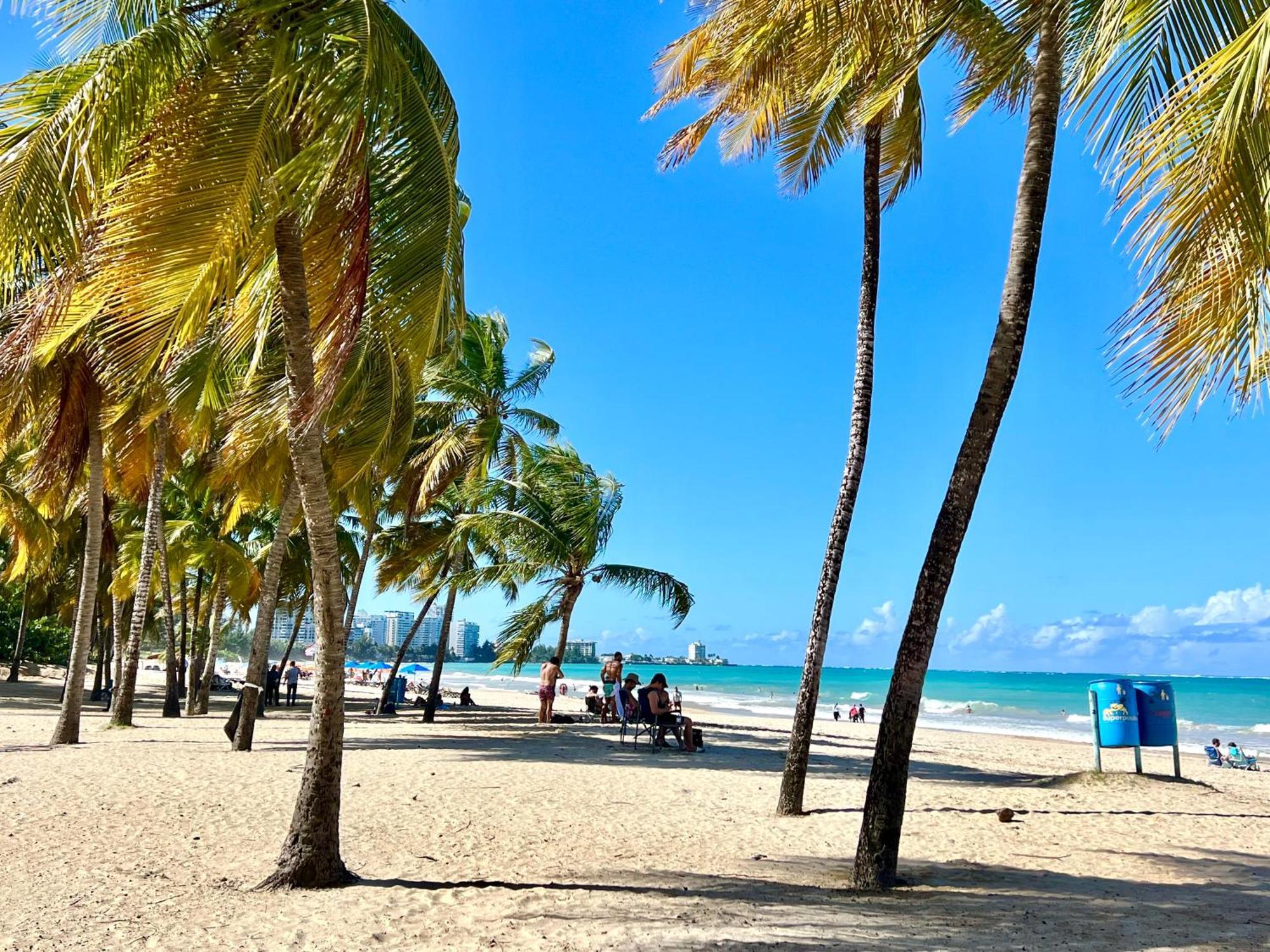 Ocean View Apt On Isla Verde In A 14Th Floor サンジョアン エクステリア 写真